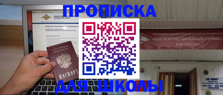 временная регистрация поиск в Павловске